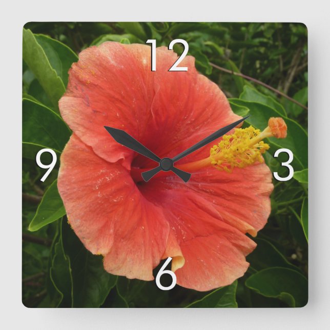 Horloge Carrée Orange Hibiscus Fleur Tropical Floral (Recto)