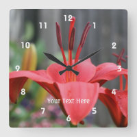 Orange Lily