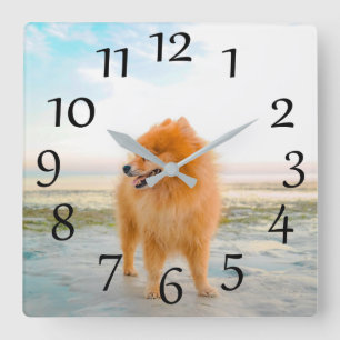Horloge Carrée Orange Poméranien à l'horloge du mur de plage