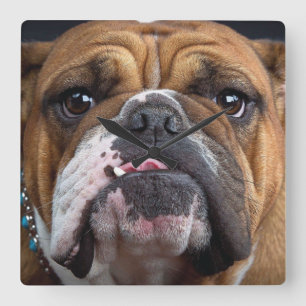Horloge Carrée Oreillers à lancer de Bulldog anglais