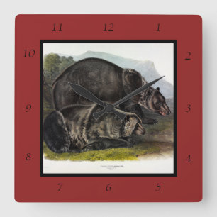 Horloge Carrée Ours grizzli (Ours Brown nord-américain) - Audubon
