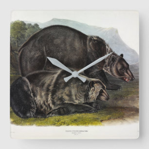 Horloge Carrée Ours grizzli (Ours Brown nord-américain) - Audubon