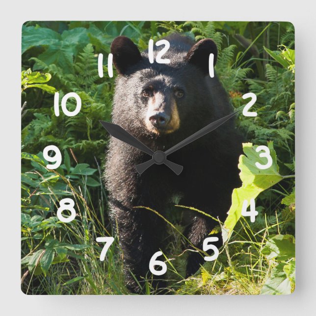 Horloge Carrée Ours noir curieux (Recto)