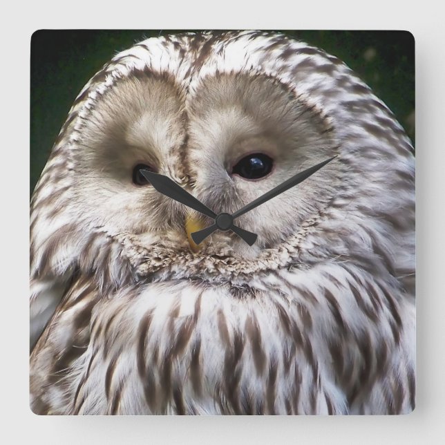 HORLOGE CARRÉE OWLS (Recto)