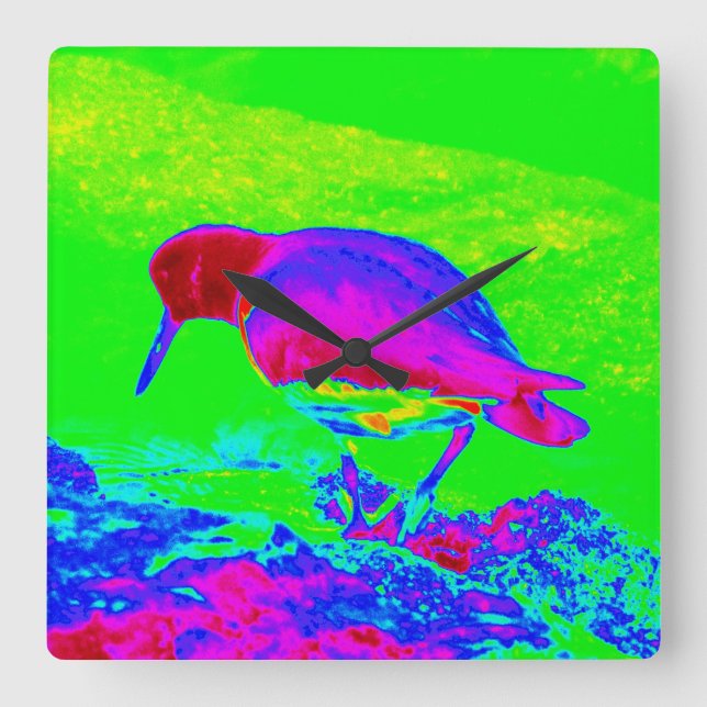 Horloge Carrée Oyster Catcher (Recto)