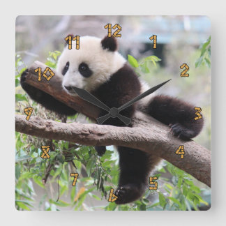 Horloge Carrée Panda CUB