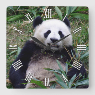 Horloge Carrée Panda géant continuer à sourire, animaux de Chine