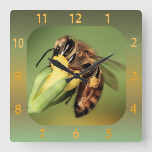 Horloge Carrée Panier de pollen d'abeilles sur fleurs jaunes