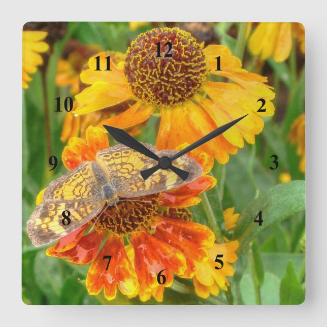 Horloge Carrée Papillon Pearl Crescent sur l'herbe éternuée (Recto)