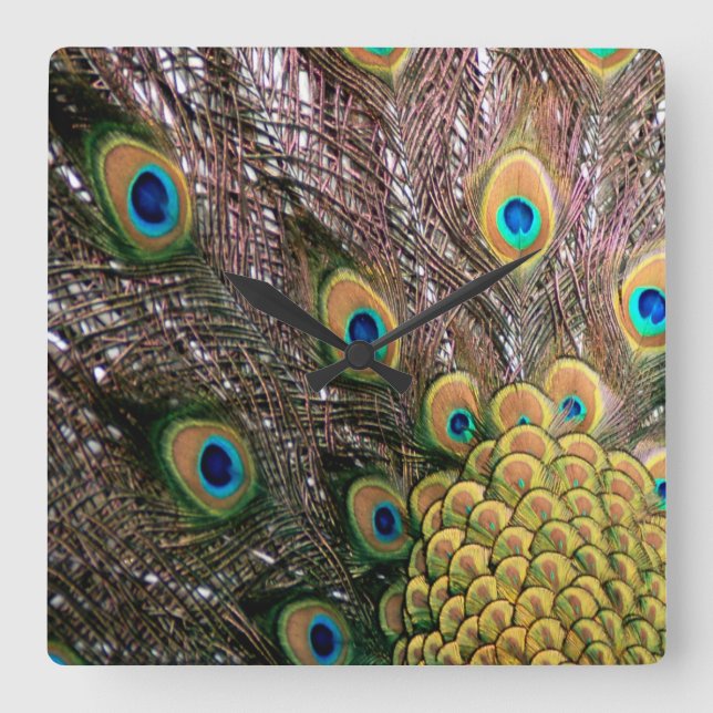 Horloge Carrée Peacock Feathers Emerald Green et Gold (Recto)