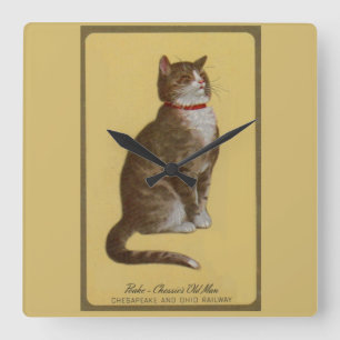 Horloge Carrée Peake, le chat tabby de Chessie