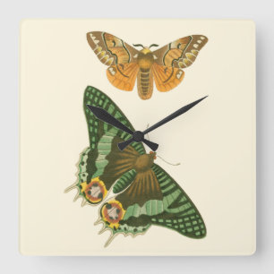 Horloge Carrée Peinture légèrement encadrée de papillon