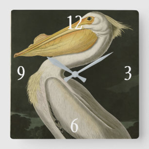 Horloge Carrée Pélican blanc américain, les oiseaux d'Amérique d'