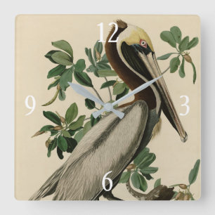 Horloge Carrée Pélican Brown d'Audubon's Birds of America