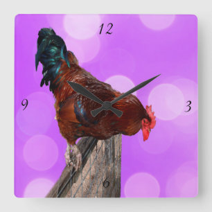 Horloge Carrée Perché en Majesté : coq sur Dreamy Purple Glow