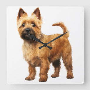 HORLOGE CARRÉE PETIT CHIEN BROWN DE TERRIER NORWICH
