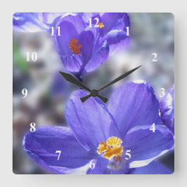 Horloge Carrée Photo Crocus Purple Flowers