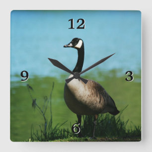 Horloge Carrée Photo de Canadian Geese