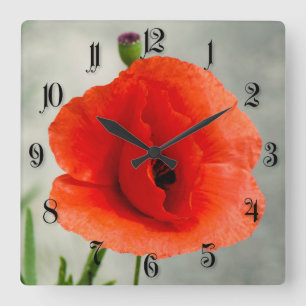 Horloge Carrée Photo de fleur à pavot simple