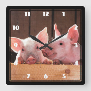 Horloge Carrée Photo d'un animal de porcelets roses mignons