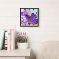 Photo d'un joli Crocus de printemps violet