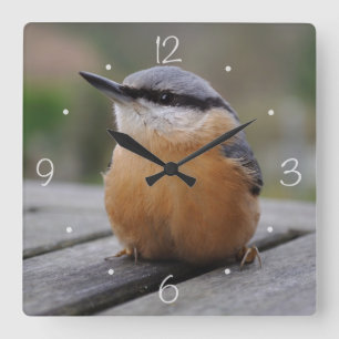 Horloge Carrée Photo Nuthatch