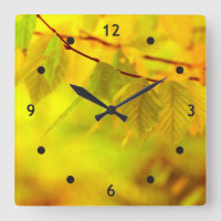 Photographie - feuilles de hêtre d'automne + vos i