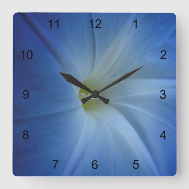Horloge Carrée Photos de Fleur de Matin Bleu Céleste (Recto)