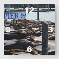 Pier 39 Sea Lions
