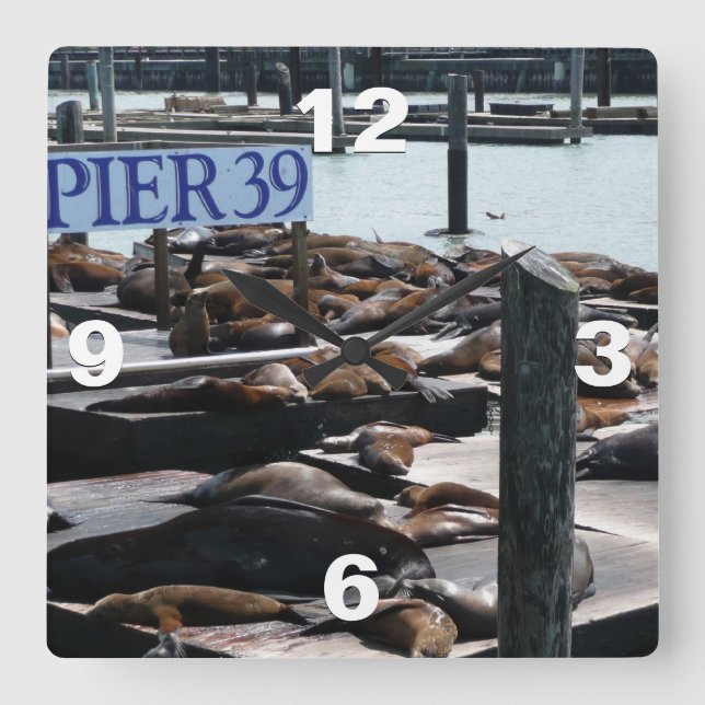 Horloge Carrée Pier 39 Sea Lions (Recto)