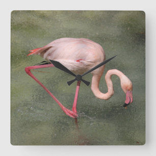 Horloge Carrée Pink Flamingo à Water Clock