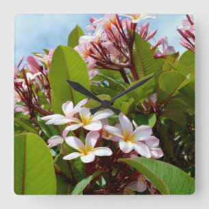 Horloge Carrée Pink Flowering Frangipani Tree