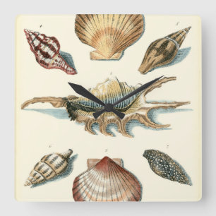 Horloge Carrée Plage de Shell soignée