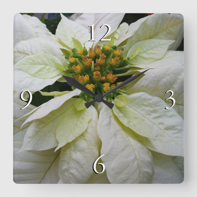 Horloge Carrée Poinsettia Elegant Christmas Holiday Floral (Recto)