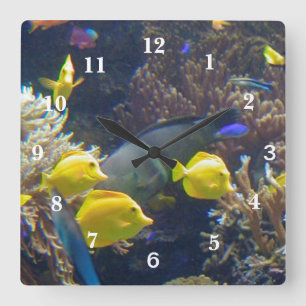Horloge Carrée Poissons de récif coralien