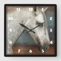 Portrait de Cheval Andalou Gris Dappé
