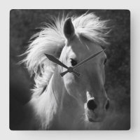Portrait de cheval V