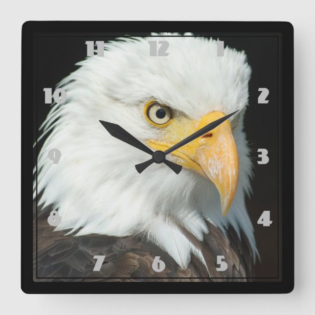 Horloge Carrée Portrait Majestic Bald Eagle (Recto)