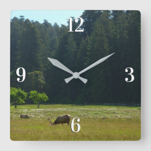 Horloge Carrée Prairie aux élans du parc national de Redwood