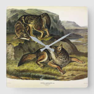 Horloge Carrée Prairie Wolf