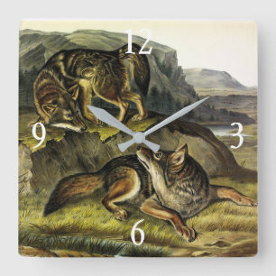 Horloge Carrée Prairie Wolf (Coyote) d'après Quadrupeds d'Audubon