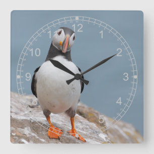 Horloge Carrée Puffin debout
