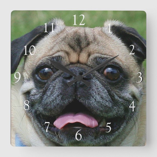 Horloge Carrée Pug dog square clock (Recto)