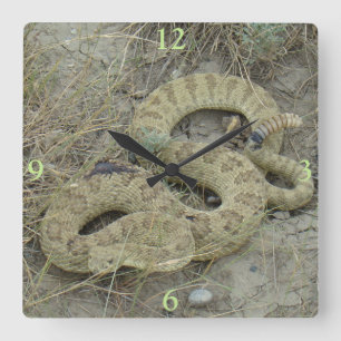 Horloge Carrée R20 Blessé au crotale des Prairies