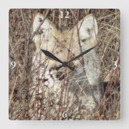 Horloge Carrée R21 Coyote "Vous regarde"