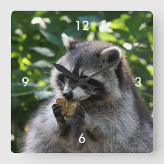 Horloge Carrée Raccoon_2015_0116