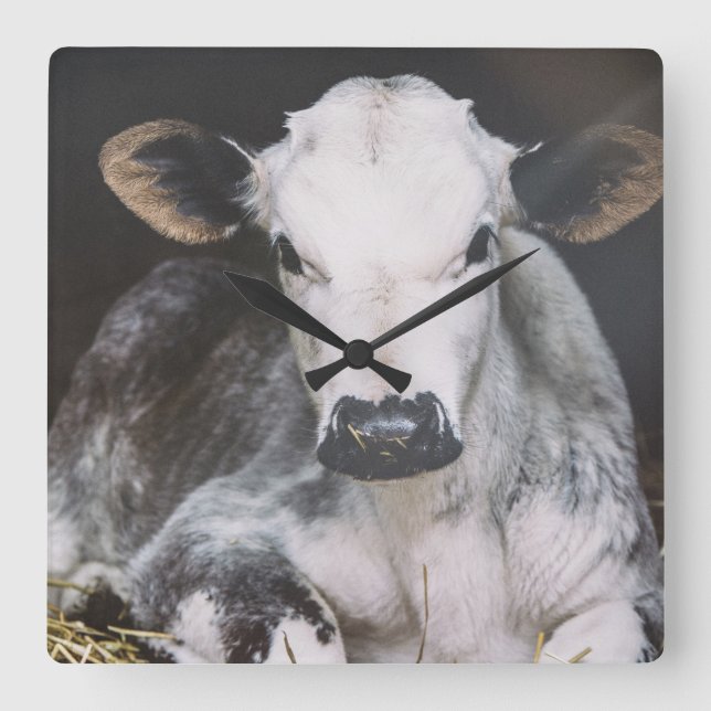 Horloge Carrée Récolte de jour occupée (Recto)