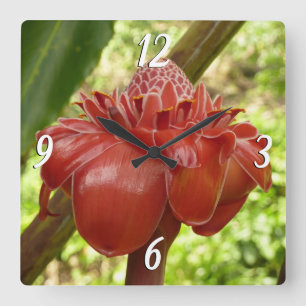 Horloge Carrée Red Torch Ginger Tropical Flower Photographie