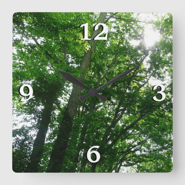 Horloge Carrée Regard sur les arbres d'été (Recto)