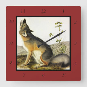 Horloge Carrée Renard rapide (Vulpes Velox) des Quadrupeds d'Audu